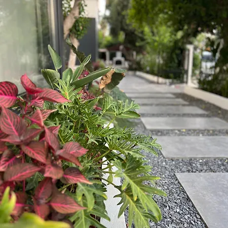 Leos Apart1 アパート