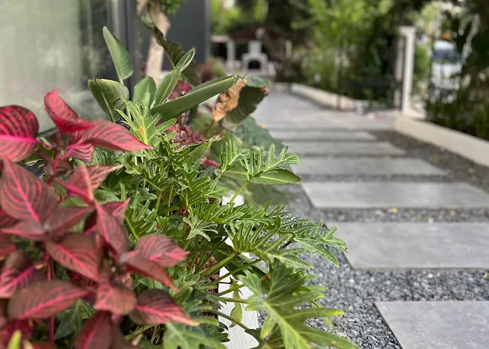 Leos Apart1 アパート