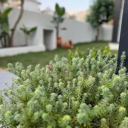 Leos Apartments 1 With Garden Near To Beach Side